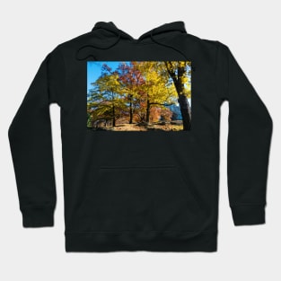 Central park in the fall Hoodie